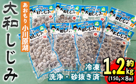 小川原湖産 大和しじみ (冷凍) (150g×8P) 小川原湖 しじみ 冷凍しじみ しじみ貝 国産 青森県産 しじみ汁 冷凍保存 冷凍食品 貝類 【小川原湖漁業協同組合】【ms18-01】
