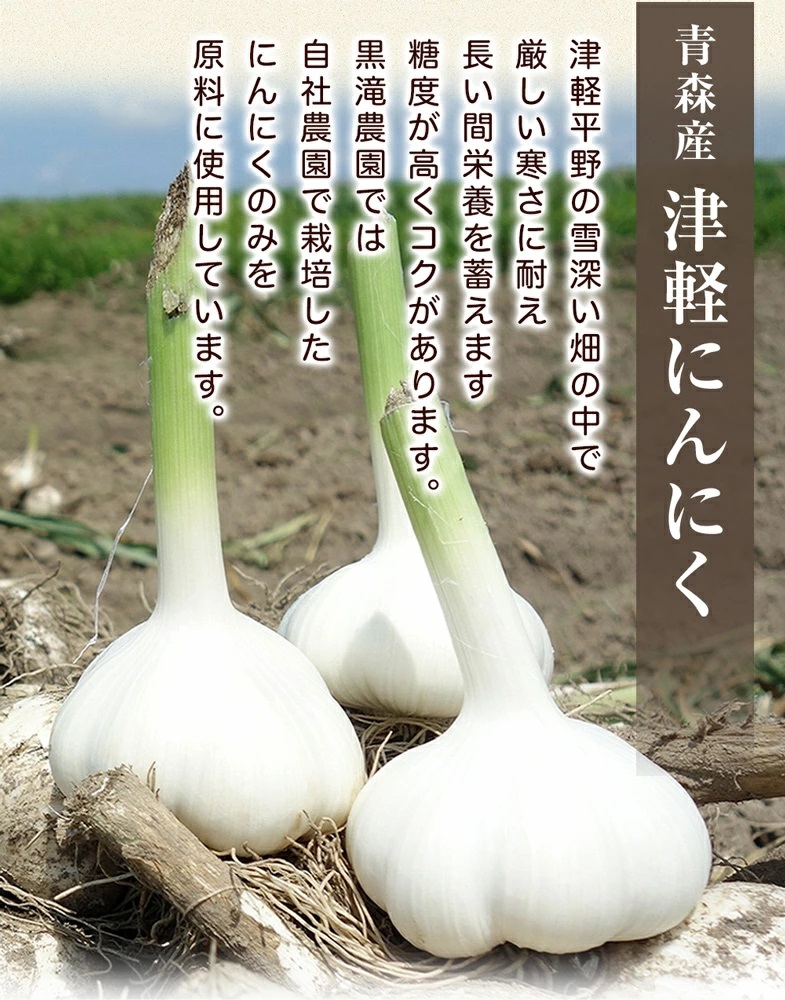 元気・活力・健康の源！ 黒にんにく山盛りセット｜青森 津軽 つがる 特産 ニンニク 料理 免疫 黒滝農園 [0329]