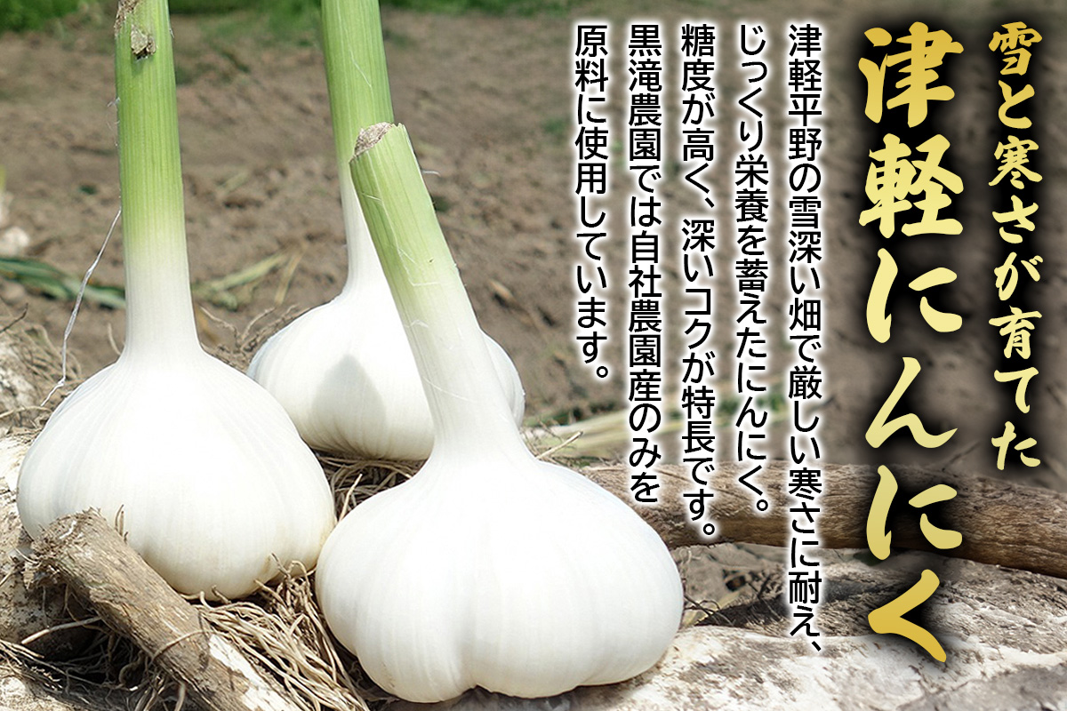 元気・活力・健康の源！黒にんにく山盛りセット《定期便／全3回／隔月お届け》｜青森 津軽 つがる 特産 ニンニク 料理 免疫 黒滝農園 [0331]