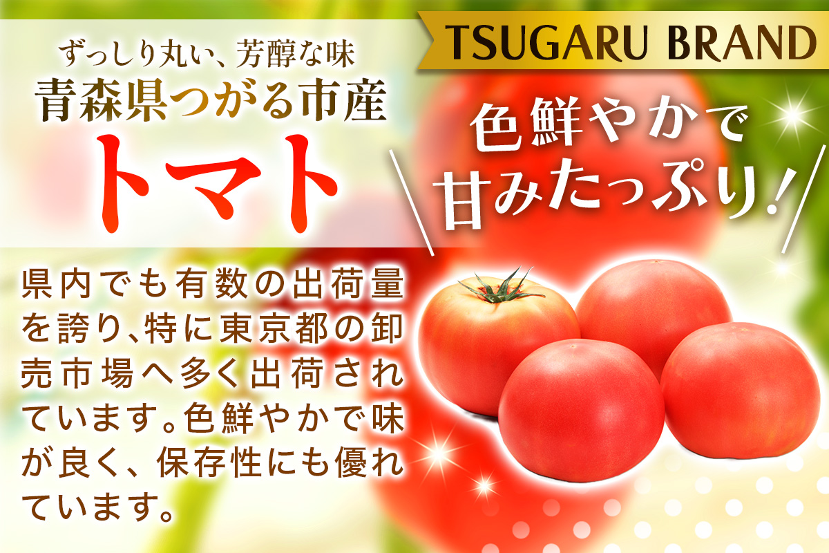 乾燥トマト(エアードライ製法) 100g 青森県 つがる市産｜とまと 野菜 パスタ 具材 [0523]