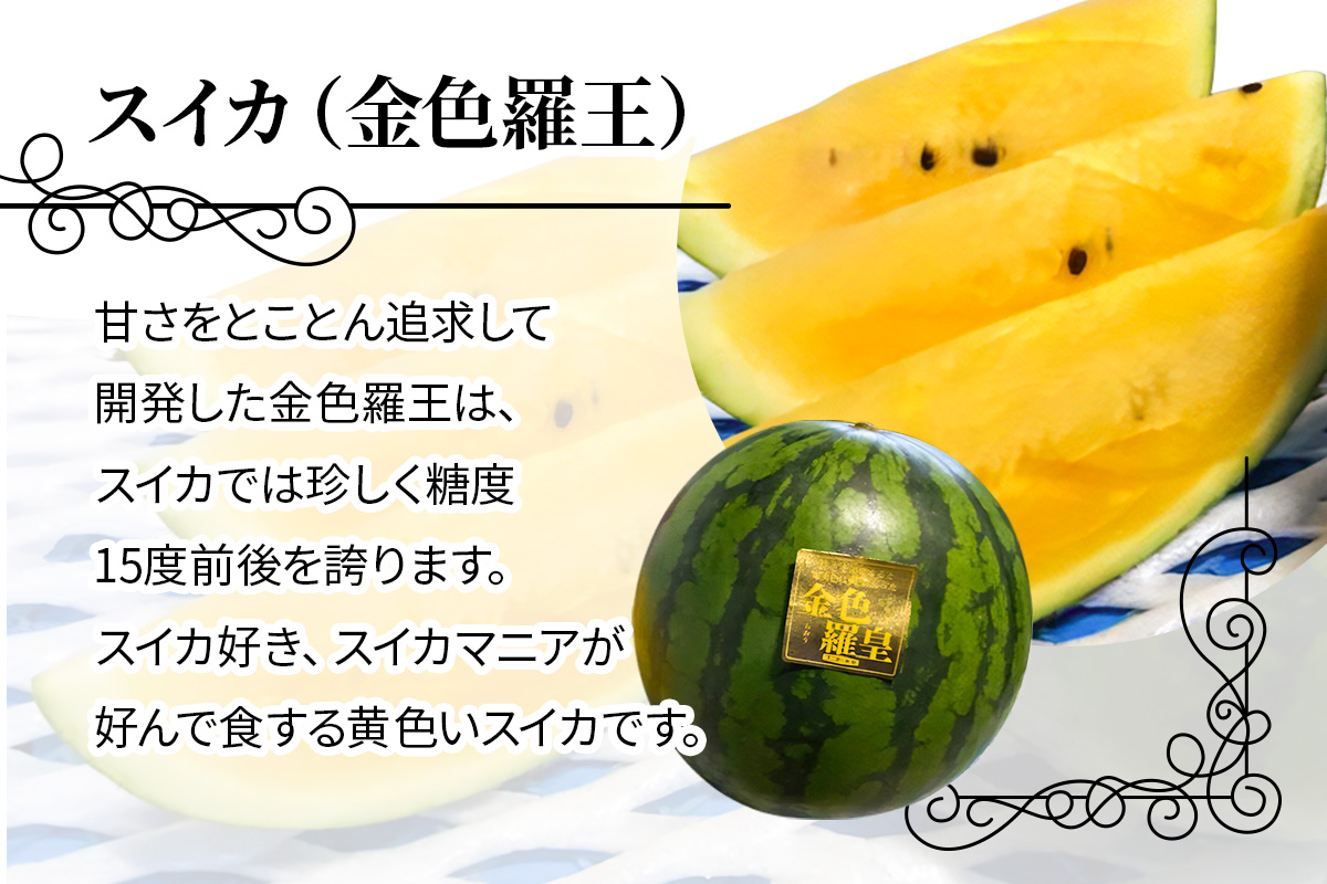 黄色いスイカ 金色羅王 大玉 1玉｜青森産 産直 2026年産 令和8年 夏 すいか 西瓜 果物 フルーツ 旬 特産 藤農園 農福連携 ラオウ らおう 羅皇 [0621]