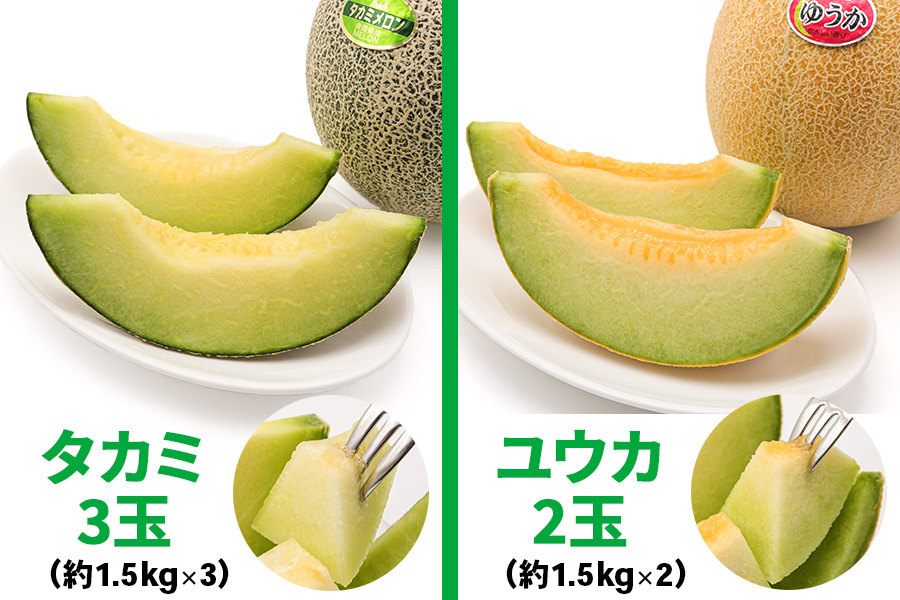 メロン [タカミ] [ユウカ] 5玉セット｜つがる市産 青森産 産直 2026年産 令和8年 夏 めろん 果物 フルーツ 旬 特産 藤農園 農福連携 先行受付 [0963]