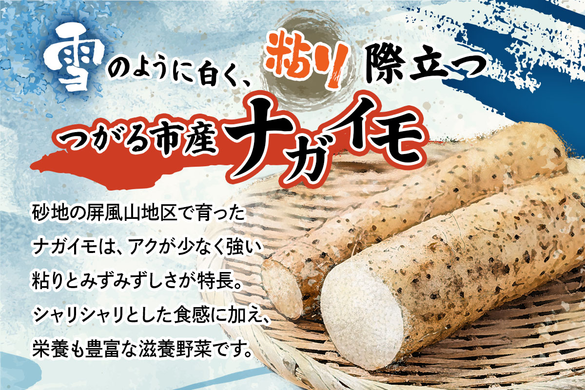 ながいも「もちとろろ」真空パック 15袋 (約3kg)｜青森産 長芋 長いも なが芋 野菜 とろろご飯 小分け [0966]