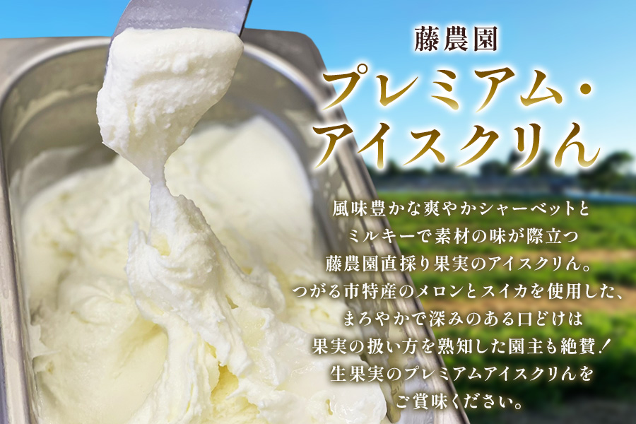 藤農園のプレミアム果物アイスクリん 120ml×6個セット｜アイス ジェラート アイスクリーム アイスミルク シャーベット マーブル フルーツ 果物 メロン めろん スイカ すいか 西瓜 青森 つがる 特産 プレミアム おやつ スイーツ デザート 農福連携 [0922]