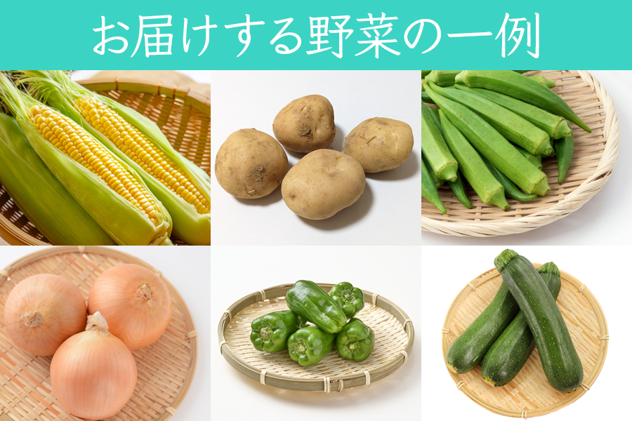 葉菜言葉のおまかせ夏野菜セット 約1kg 令和8年産｜旬の野菜 夏 野菜セット 冷蔵 詰め合わせ 産直 農家直送 新鮮 ギフト サラダ 2026年産 [0636]