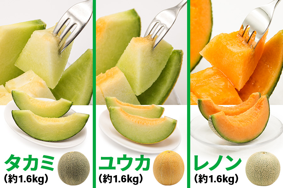 満喫！ つがるメロン 食べ比べセット (タカミ・ユウカ・レノン) 各1.6kg 3玉セット｜つがる市産 2026年産 令和8年 青森産 津軽 めろん 特産 果物 フルーツ 農福連携 [0669]
