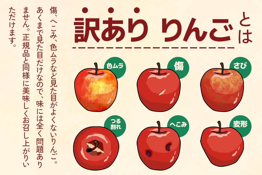 [訳あり] 葉取らず ふじ【約5kg 12から18玉入り】｜令和7年 2025年 訳アリ 訳あり 家庭用 青森産 津軽 つがる りんご リンゴ 果物 フルーツ フジ [0690]