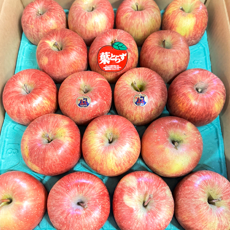 完熟！葉とらずサンふじ 5kg｜青森産 青森りんご りんご リンゴ 林檎 果物 フルーツ さんふじ サンフジ 令和7年 2025年 [0891]