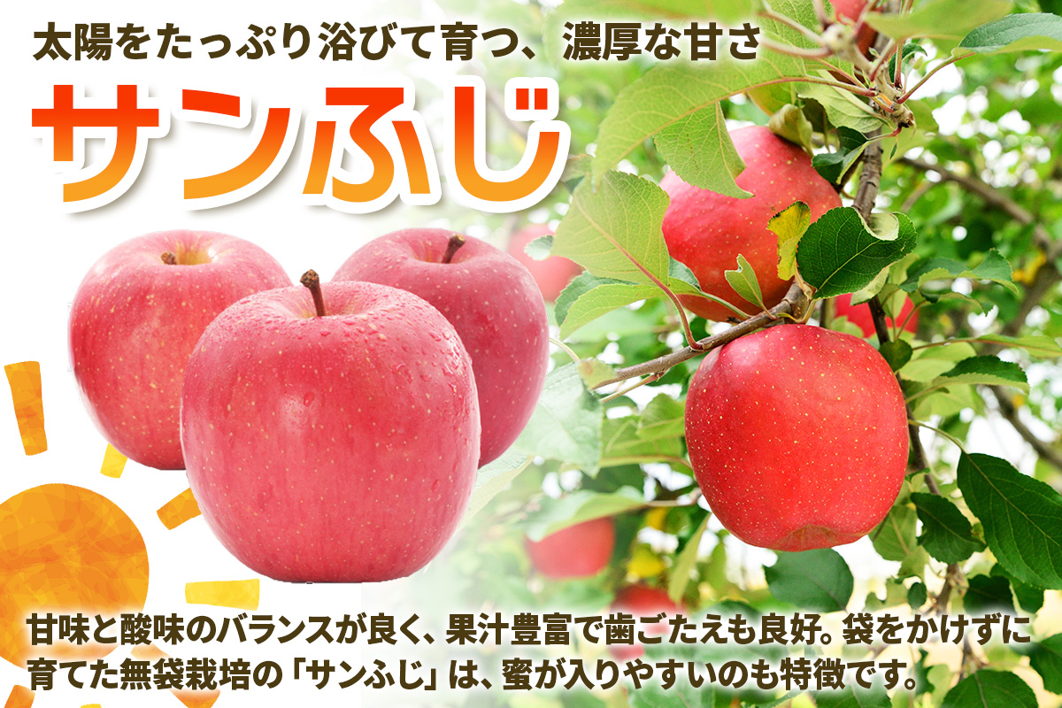 家庭用りんご サンふじ 3kg (9玉から12玉入り 3kg 1箱)  見た目にわけあり 味はそのまま｜令和7年産 2025年産 青森 津軽 つがる りんご リンゴ サンフジ 訳あり 訳アリ 果物 旬 青森りんご [0838]