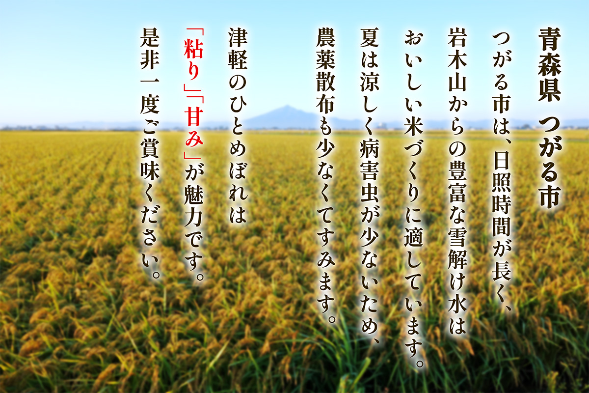 令和7年産 つがる市産「津軽のひとめぼれ」10kg｜2025年産 青森県 津軽 お米 白米 米 コメ こめ ひとめぼれ 精米 新米 [0897]