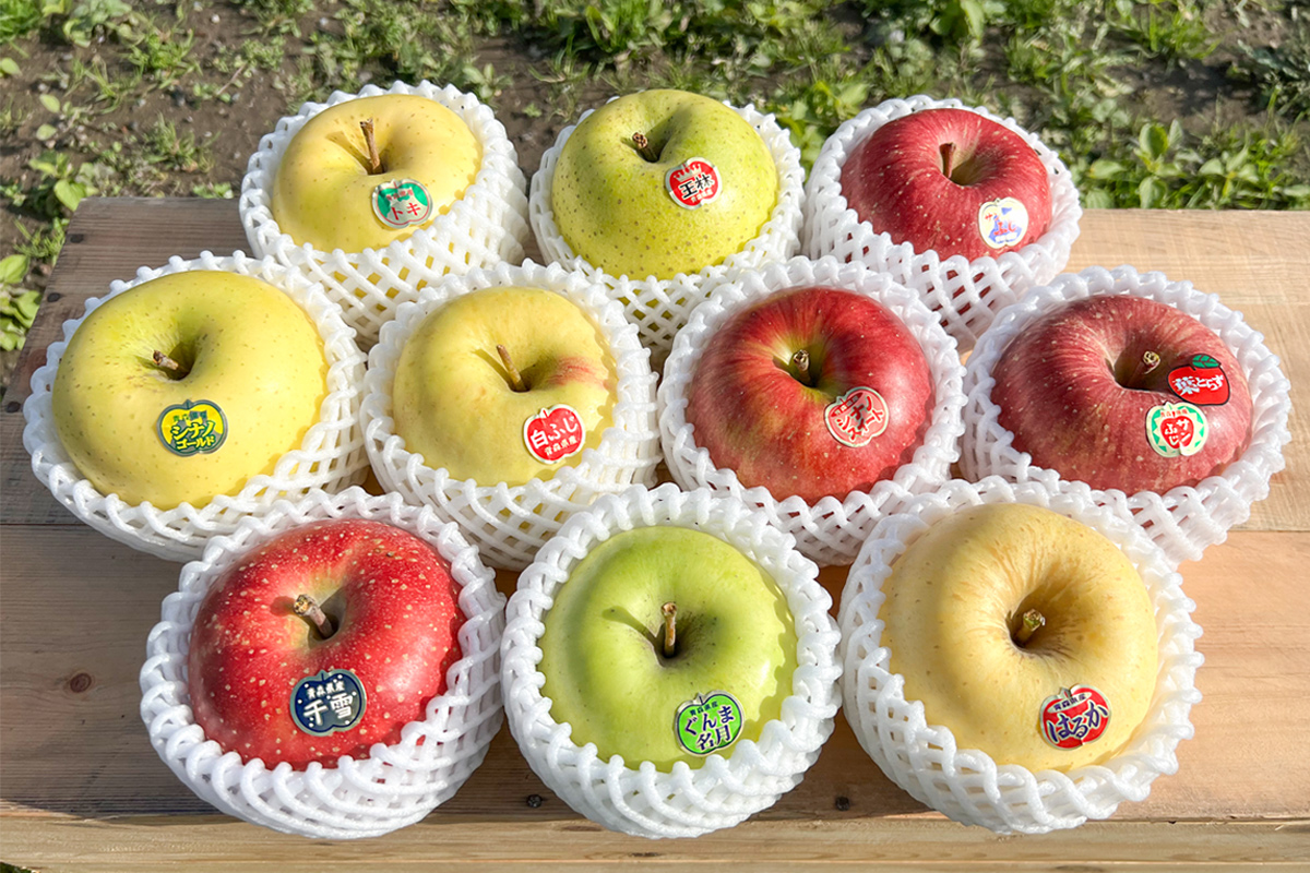 木村農産のりんご詰め合わせ (贈答用) 約4kg (10玉から12玉)｜青森県産 つがる リンゴ 林檎 果物 フルーツ 令和7年産 2025年産 [0909]