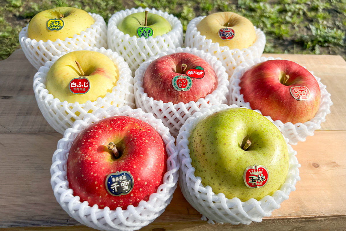 木村農産のりんご詰め合わせ (贈答用) 約8kg (20玉から24玉)｜青森県産 つがる リンゴ 林檎 果物 フルーツ 令和7年産 2025年産 [0910]