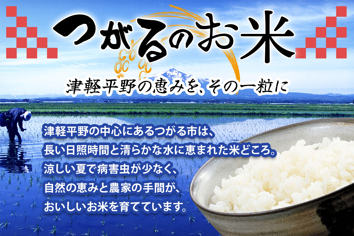 令和7年産 つがる市産 まっしぐら 白米 3kg｜2025年産 まっしぐら 白米 お米 米 コメ 精米 農家 青森 [0936]
