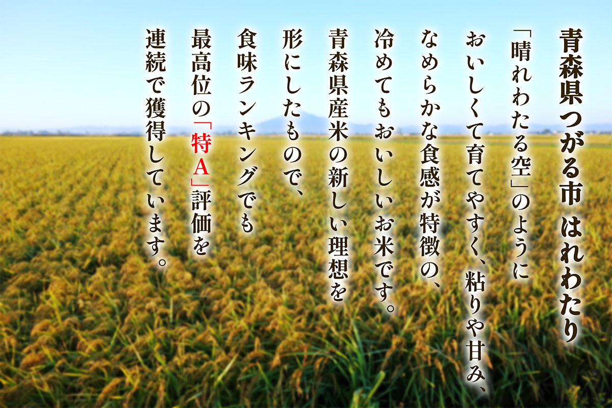 つがる市産「はれわたり」10kg｜2025年産 はれわたり 白米 お米 米 コメ 精米 農家 特A 青森 [0942]