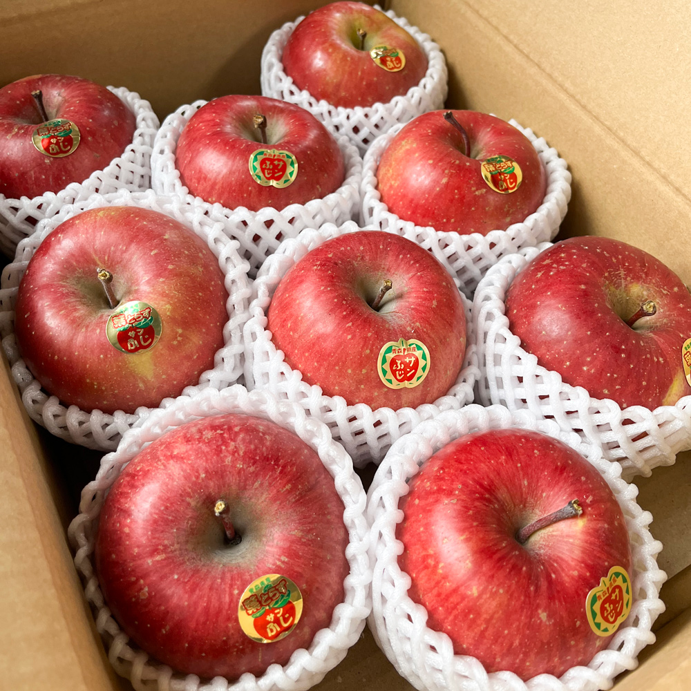 木村農産のサンふじ 約3kg(9玉から10玉)｜青森県産 つがる りんご リンゴ 林檎 サンふじ さんふじ 果物 フルーツ 令和7年産 2025年産 [0947]