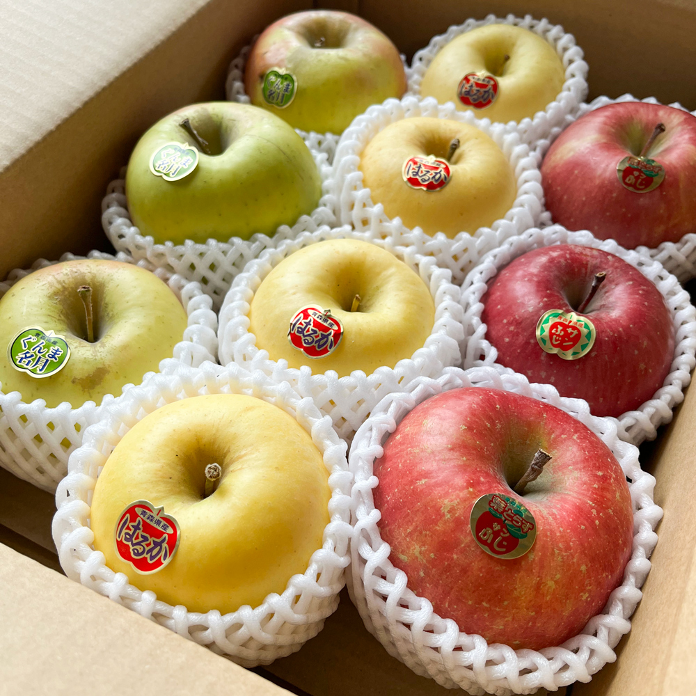 木村農産の人気の3種セット (サンふじ・はるか・名月) 約3kg 10個入り ｜青森県産 つがる りんご リンゴ 林檎 サンふじ さんふじ はるか ハルカ  名月 めいげつ 果物 フルーツ 令和7年産 2025年産 [0948]