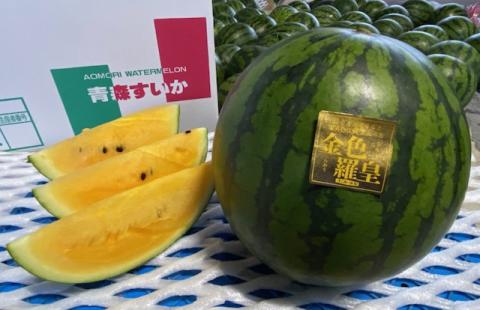 黄色いスイカ・金色羅王 大玉 1玉 2023年産｜令和5年 青森 つがる すいか 西瓜 果物 フルーツ 旬 藤農園 [0253]