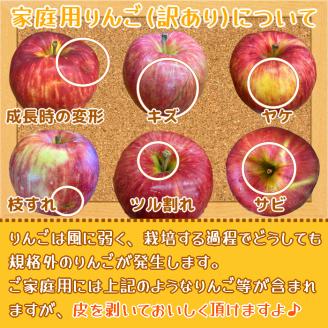 家庭用りんご サンふじ 3kg (9玉から12玉入り 3kg 1箱)  見た目にわけあり 味はそのまま｜令和7年産 2025年産 青森 津軽 つがる りんご リンゴ サンフジ 訳あり 訳アリ 果物 旬 青森りんご [0838]