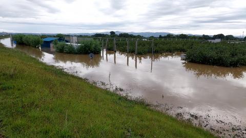 つがる市災害支援【返礼品なし】