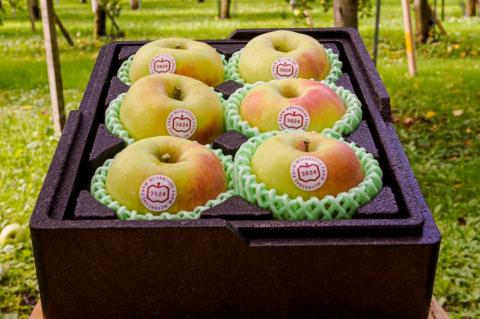 [贈答用] 名月【約2kg 6玉入り】糖度15度以上のりんご｜令和7年 2025年 ギフト 青森産 津軽 つがる りんご リンゴ 果物 フルーツ めいげつ [0678]