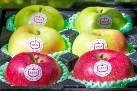 [贈答用] 名月×葉取らずふじ×王林【約2kg 各2玉入り 計6玉】贅沢りんご 3種セット｜令和7年 2025年 ギフト 青森産 津軽 つがる りんご リンゴ 果物 フルーツ めいげつ フジ おうりん [0682]