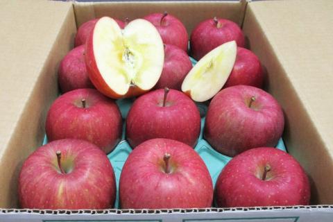 [贈答向け・傷少なめ] サンふじ りんご 特A(蜜入り) 約3kg(12玉)｜青森産 つがる 津軽 リンゴ 林檎 果物 フルーツ サンフジ 2025年 令和7年 [0719]