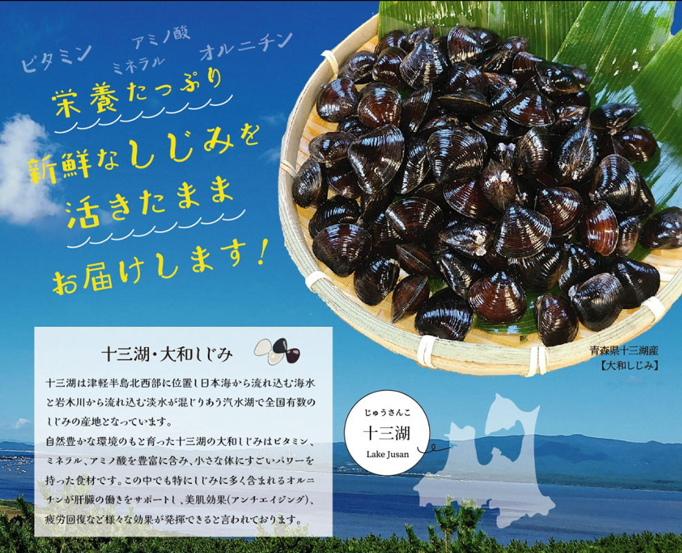 [令和8年3月第2日曜日配達] さとうしじみ屋の十三湖産活しじみ(中粒2kg)[冷蔵]｜十三湖産 青森 津軽 つがる しじみ みそ汁 味噌汁 しじみ汁 活しじみ 冷蔵 [0808]