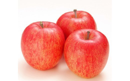 りんご サンふじ 約5kg (14玉から18玉) 青森産 つがる市【2025年11月下旬より順次発送】｜青森県産 津軽 つがる リンゴ 果物 フルーツ 青森 ふじ さんふじ サンフジ 令和7年 2025年 [0612]
