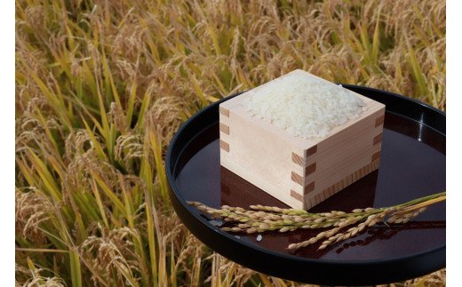 令和6年産 青森県 つがる市産米 青天の霹靂 5kg (精米)｜お米 米 こめ 白米 青天のへきれき 2024年 [0724]