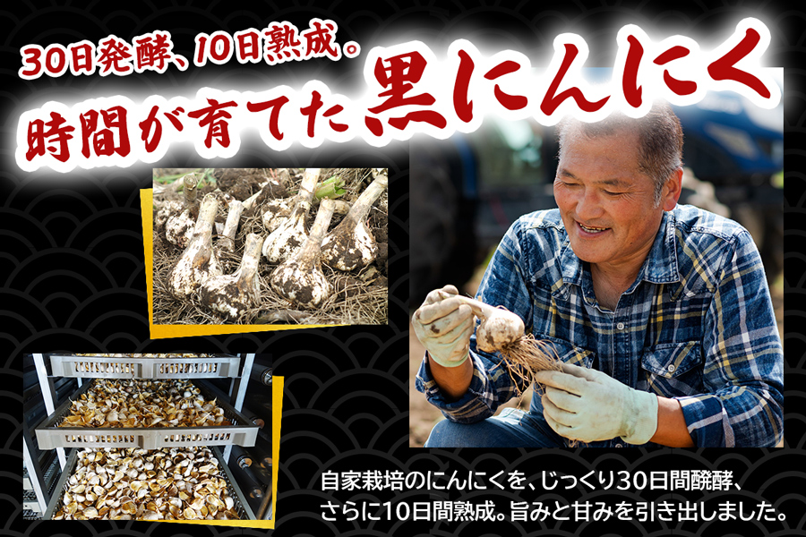 元気・活力・健康の源！黒にんにく山盛りセット《定期便／全3回／隔月お届け》｜青森 津軽 つがる 特産 ニンニク 料理 免疫 黒滝農園 [0331]