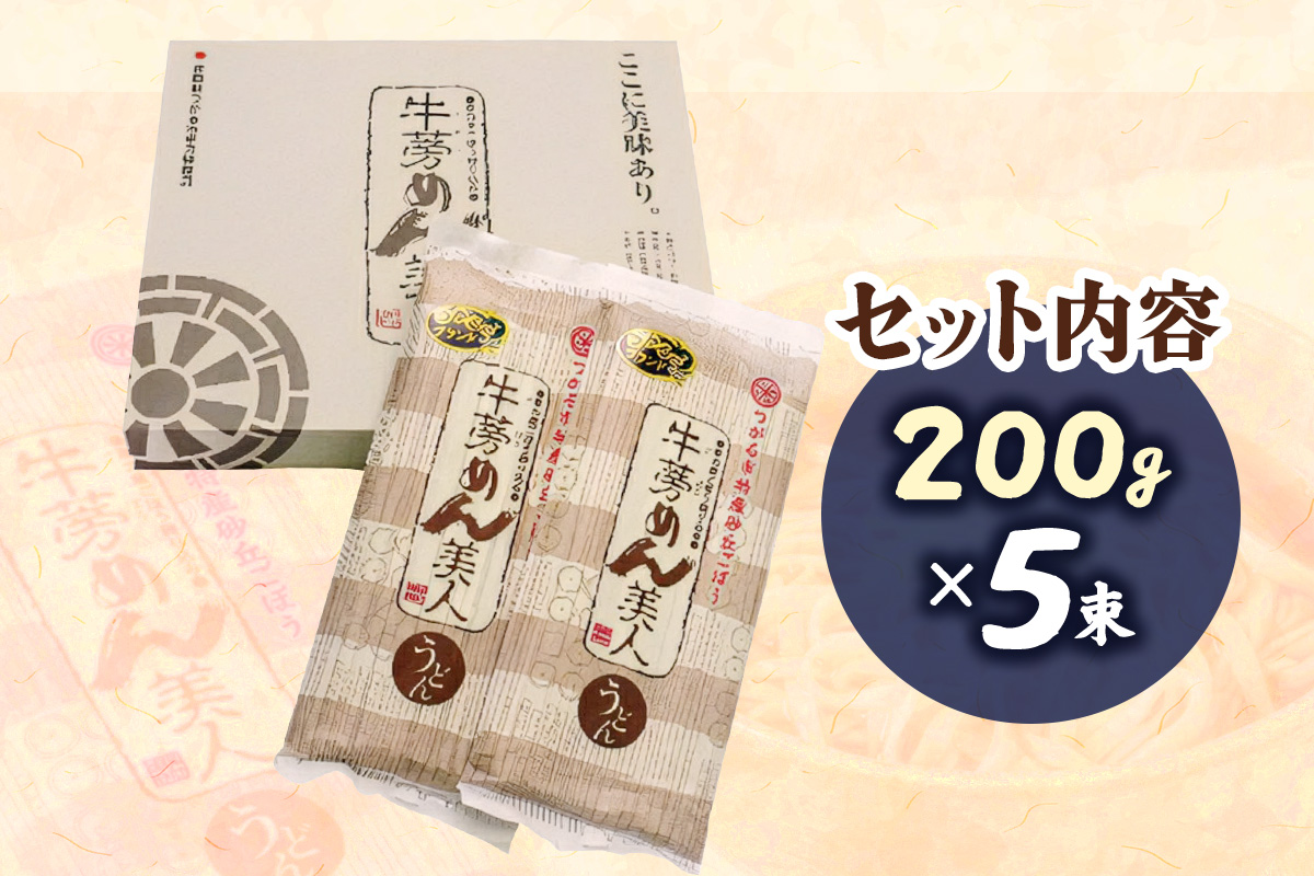 牛蒡めん美人 1箱 ｜国産 青森 つがる つがるブランド ごぼう ゴボウ 麺 めん メン 食物繊維 [0378]