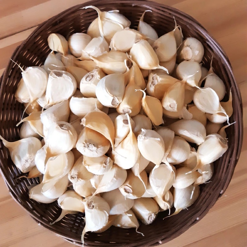 黒滝農園の乾燥バラにんにく｜青森 津軽 つがる ニンニク 料理 免疫 [0454]