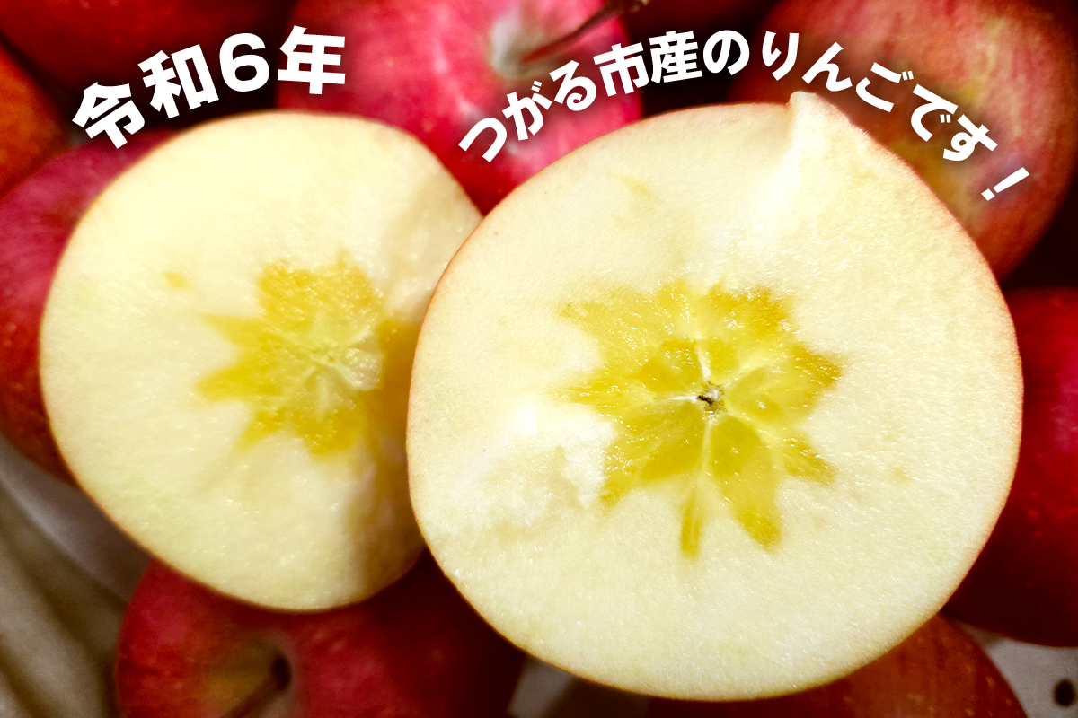 [贈答向け・傷少なめ] サンふじ りんご 特A(蜜入り) 約5kg(20玉)｜青森産 つがる 津軽 リンゴ 林檎 果物 フルーツ サンフジ 2025年 令和7年 [0720]