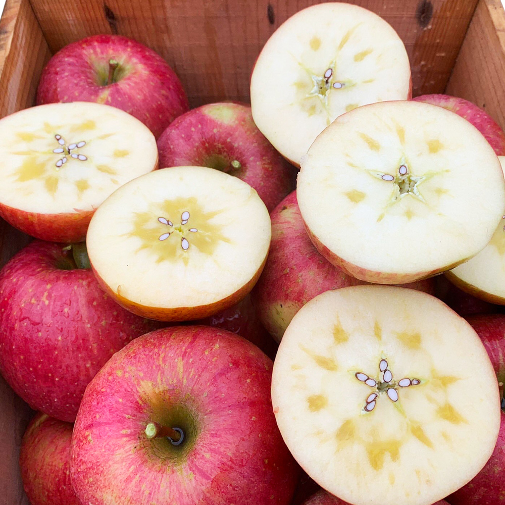 完熟！葉とらずサンふじ 5kg｜青森産 青森りんご りんご リンゴ 林檎 果物 フルーツ さんふじ サンフジ 令和7年 2025年 [0891]