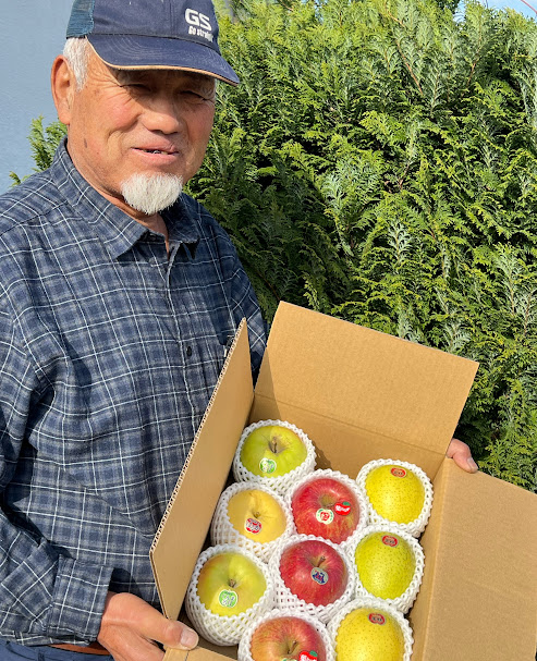 木村農産のりんご詰め合わせ (贈答用) 約4kg (10玉から12玉)｜青森県産 つがる リンゴ 林檎 果物 フルーツ 令和7年産 2025年産 [0909]