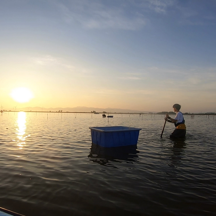 [冷凍] 十三湖産 大和しじみ -飲む黒いダイヤ- 600g (小貝200g×3パック)｜ヤマトシジミ貝 青森 津軽 十三湖 つがる みそ汁 冷凍しじみ しじみ 貝 国産 小粒 小貝 しじみ汁 [0767]