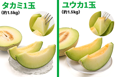 メロン [タカミ] [ユウカ] 2玉セット｜つがる市産 青森産 産直 2026年産 令和8年 夏 めろん 果物 フルーツ 旬 特産 藤農園 農福連携 先行受付 [0837]