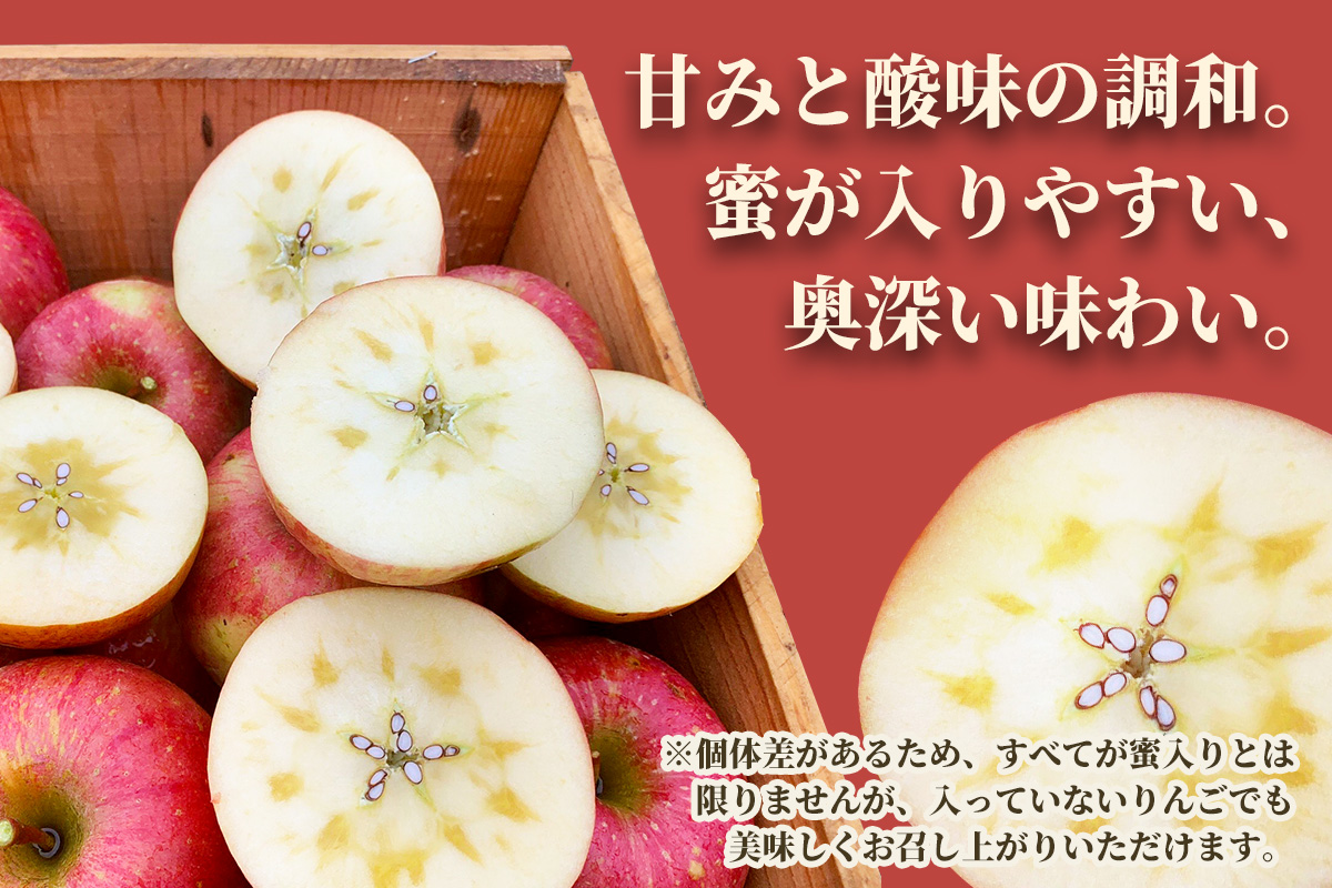 完熟！葉とらずサンふじ 5kg｜青森産 青森りんご りんご リンゴ 林檎 果物 フルーツ さんふじ サンフジ 令和7年 2025年 [0891]