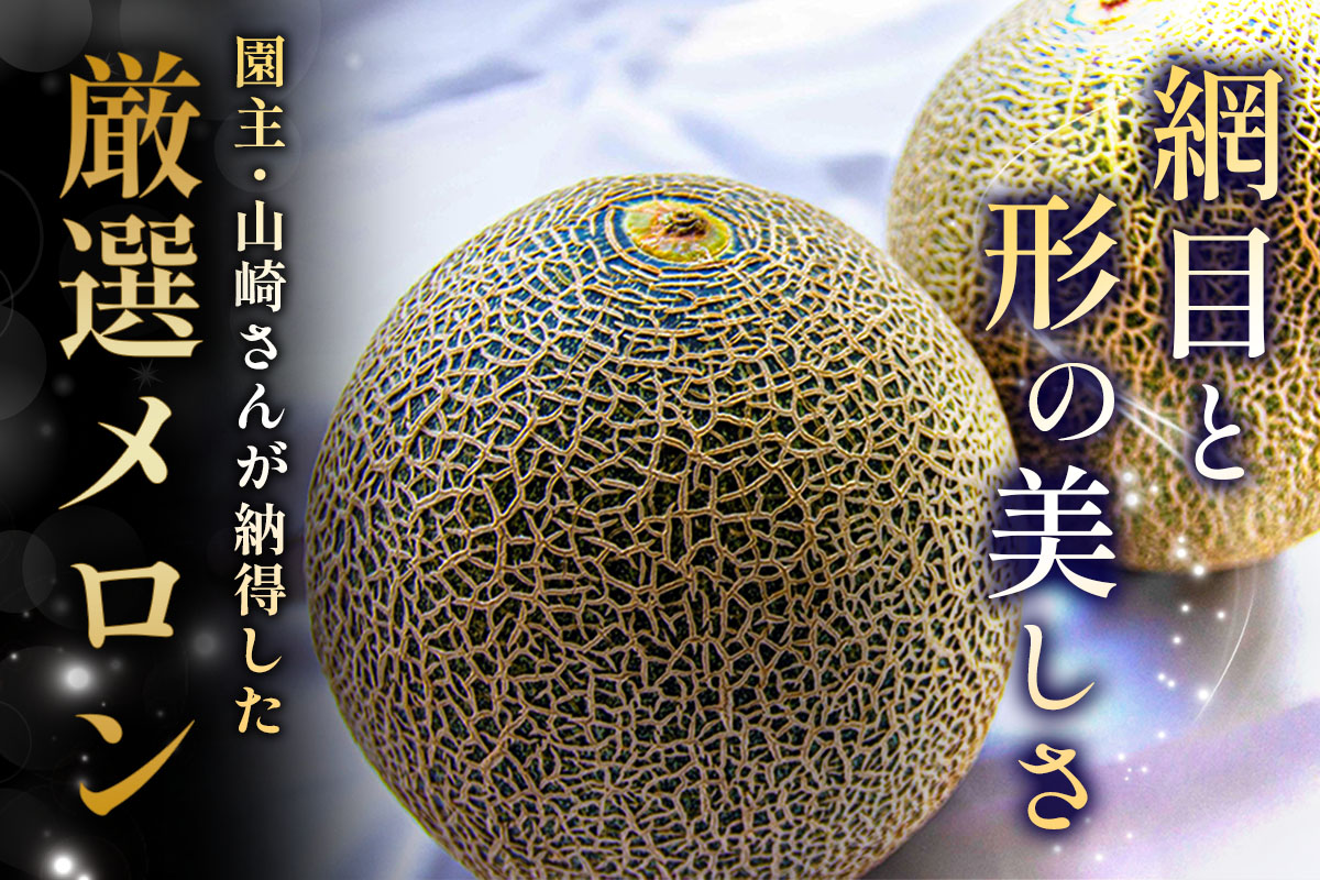 高級 メロン『浮世離れ』1玉【2026年7月下旬から8月上旬まで順次発送】一度は食べてみたい！市場に出回らない｜青森県 青森産 津軽 つがる めろん メロン 果物 フルーツ 夏メロン 青森メロン [0893]