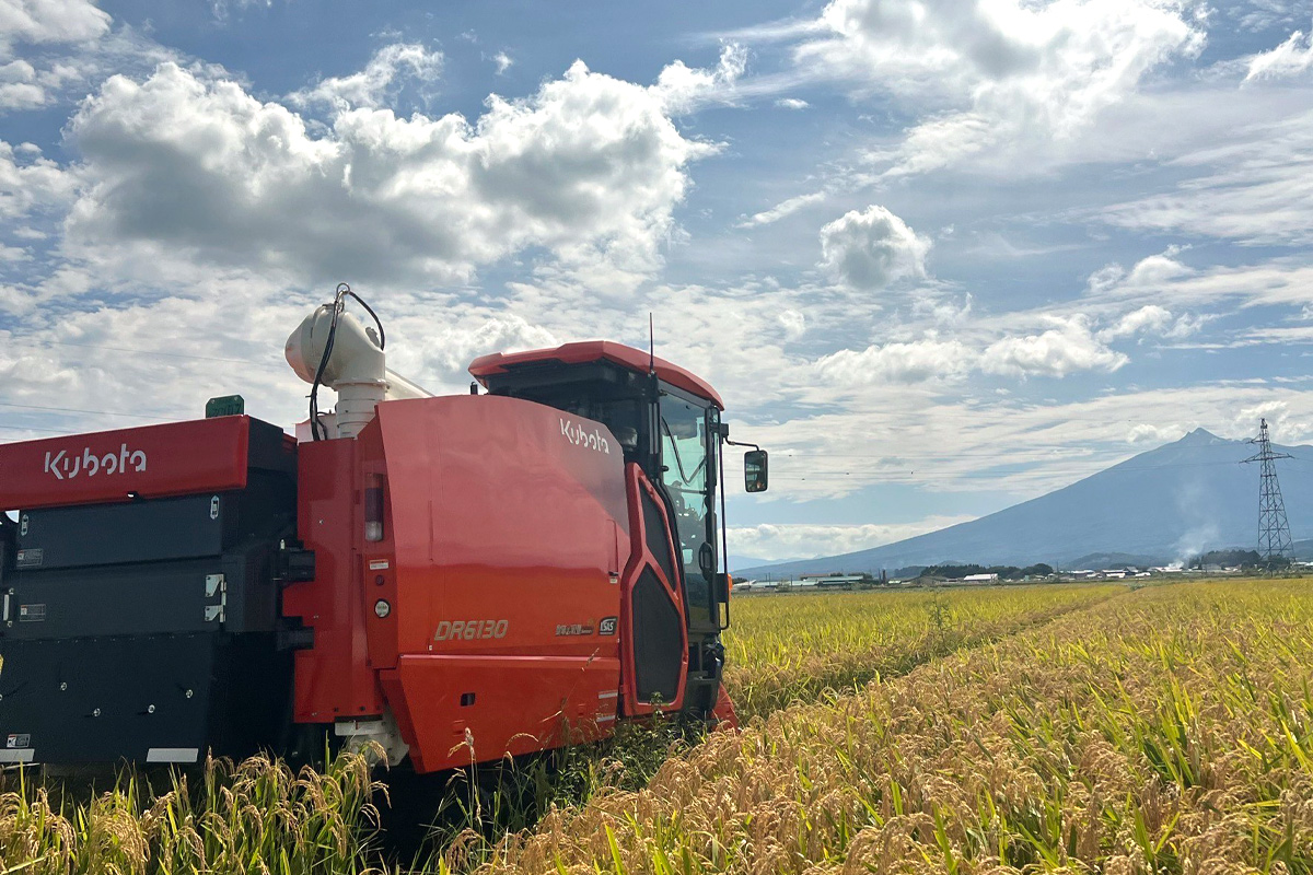 令和7年産 つがる市産 まっしぐら 白米 10kg｜2025年産 まっしぐら 白米 お米 米 コメ 精米 農協 青森 新米 [0938]