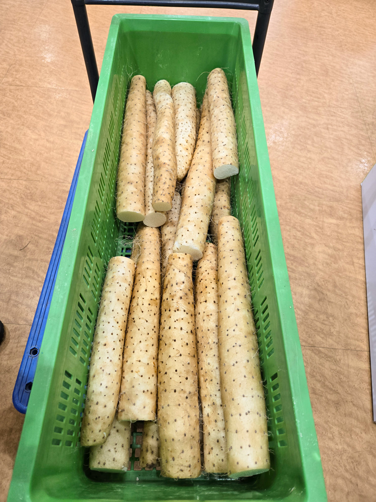 訳あり ながいも 約4kg (洗い)｜長いも 長芋 ナガイモ 山芋 ヤマイモ やまいも 訳アリ とろろ 滋養強壮 青森産 [0943]