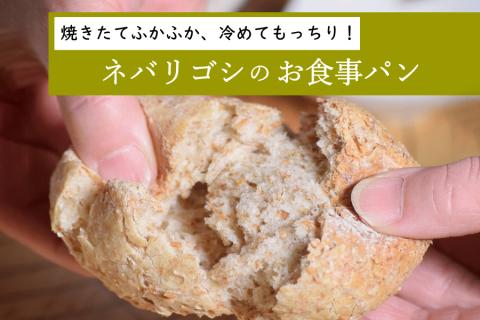 国産小麦 栽培期間中 農薬不散布 玄小麦 青森県産 ネバリゴシ 中力系 