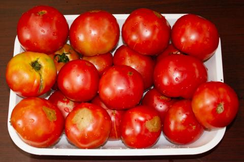 乾燥トマト(エアードライ製法) 100g 青森県 つがる市産｜とまと 野菜 パスタ 具材 [0523]