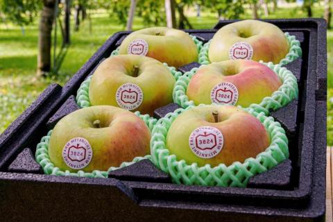 [贈答用] 名月【約2kg 6玉入り】糖度15度以上のりんご｜令和7年 2025年 ギフト 青森産 津軽 つがる りんご リンゴ 果物 フルーツ めいげつ [0678]