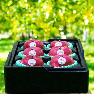 [贈答用] 葉取らずふじ【約2kg 6玉入り】園主選抜の特選りんご｜青森産 津軽 つがる りんご リンゴ 果物 フルーツ [0680]