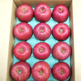 [贈答向け・傷少なめ] サンふじ りんご 特A(蜜入り) 約3kg(12玉)｜青森産 つがる 津軽 リンゴ 林檎 果物 フルーツ サンフジ 2025年 令和7年 [0719]