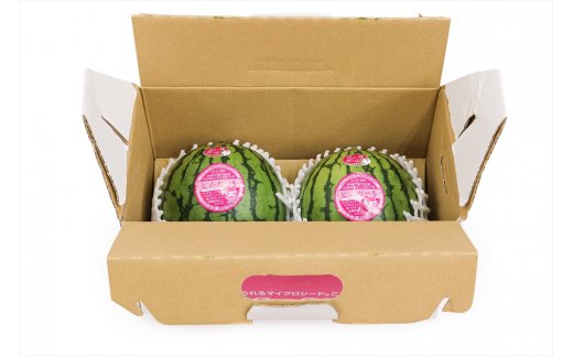 スイカ (小玉) ピノガール2玉 青森産 産直｜つがる市産 2026年産 令和8年 夏 すいか 西瓜 果物 フルーツ 旬 特産 藤農園 農福連携 [0834]