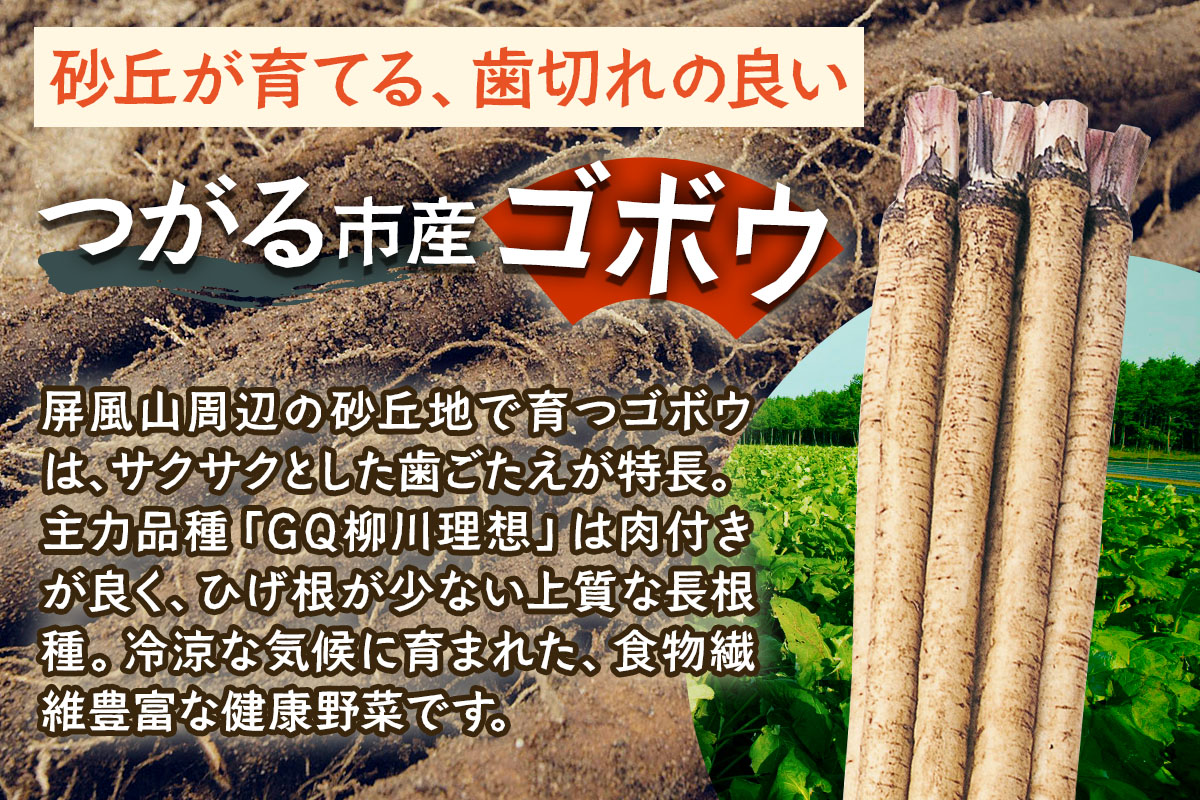 牛蒡めん美人 1箱 ｜国産 青森 つがる つがるブランド ごぼう ゴボウ 麺 めん メン 食物繊維 [0378]