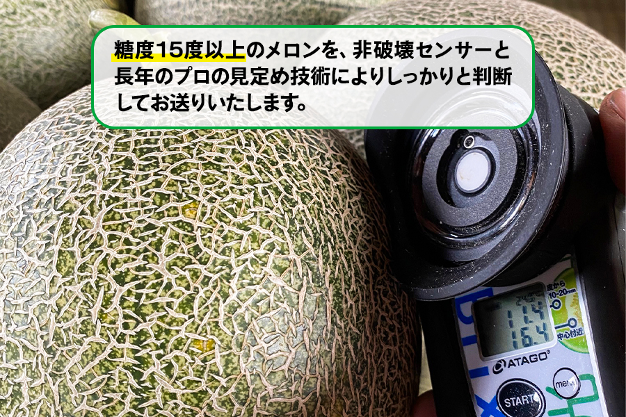 メロン [タカミ] [ユウカ] 5玉セット｜つがる市産 青森産 産直 2026年産 令和8年 夏 めろん 果物 フルーツ 旬 特産 藤農園 農福連携 先行受付 [0963]
