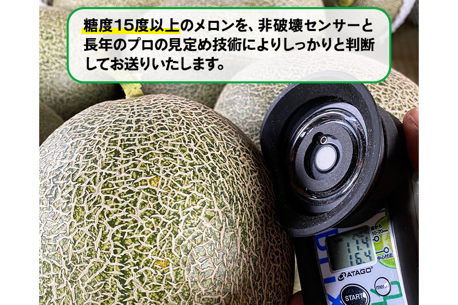 満喫！ つがるメロン 食べ比べセット (タカミ・ユウカ・レノン) 各1.6kg 3玉セット｜つがる市産 2026年産 令和8年 青森産 津軽 めろん 特産 果物 フルーツ 農福連携 [0669]